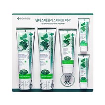 덴티스테 플러스 화이트 치약 세트 허브치약 코스트코, 420g, 1개
