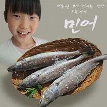 오늘생선 국산 여수 반건조 민어 200-340g 4-7마리 부레 구이 지리 탕 찜 말린, 1. 중: 민어 200g 6마리