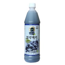 청솔 블루베리 음료베이스 835ml / 과일원액