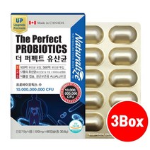 락토바실러스 복합물 커플유산균 500억 포스트바이오틱스 복합 장용성 마이크로 캡슐유산균 갱년기유산균 애시도필러스 플란타럼 인체유래 ncfm 프로바이오틱스 프롤린 모유유산균 효능, Cvd_kj3