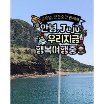 츄토퍼- 제주왔수다 캐릭터 가족여행토퍼, 2.행복여행중, 1개