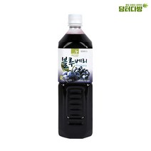 차그림 쥬스베이스 블루베리원액 1000ml, 1, 1, 본상품선택