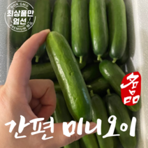 국내산 스낵오이 미니오이 피클오이 다이어트 간편한 오이 1KG, 1개