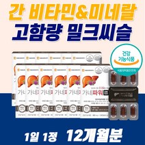 대용량 부모님 몸이 피곤할 때 먹는 약 12개월분 프리미엄 간건강 간해독제 간보호제 여성 남성 밀크 시슬 씨슬 남자 음주 전후 술 먹으면 음식 몸 피곤 엉겅퀴 황달 활력제 보충제