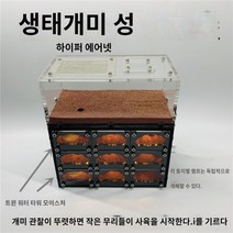 개미 사육장 관찰집 아크릴 개미 하우스모래 성 모래 언덕, 둥지 1(개미 없음)