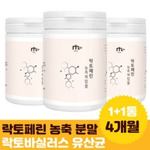 락토페린 분리유단백 분말 애시도필러스 카세이 4통 람노서스 종합유산균 말티톨 생신 선물 초유 답례품 어린이 아이 부부 입학 신랑 60대 선물 파우더 남녀노소