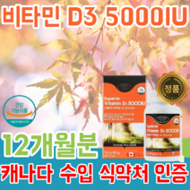 식약처 인증 캐나다 수입 인정 비타민 D3 5000IU 비탐민 비타미 디 어르신 실버 부모님 재택근무 직장인 현대인 영양 보충 제 대용량 1일 1회 6개월분 12개월분 파는곳 추천, 2