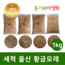 옹기와야생화 세척 울산 황금모래 1호 1kg 자연의색 다육파종