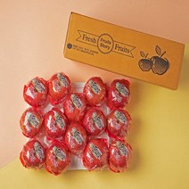 [당도12브릭스이상] 마미템 껍질째 먹는 씻은 사과 2kg 3kg 5kg 경북 gap 고당도 세척사과 소과 중과 대과, 3kg(12-14개입), 1개