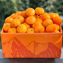 [더테이블] 제주도 노지 조생감귤 가정용 선물세트 제주 귤, 제주 조생감귤 3kg 중대과 L-2L