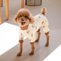 유앤펫 강아지옷 리본 곰곰이 올인원 중형견 대형견 옷, 아이보리