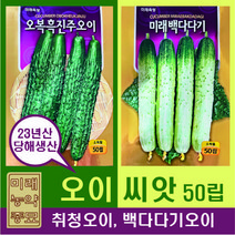23년산 미래종묘 오이씨앗 50립- 취청오이 백다다기오이 선택가능, 오복흑진주오이(50립), 1개