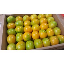 청정 제주 명품 노지 감귤 10kg 친환경 무농약 제주감귤농장 직송, SM 로얄과 10kg