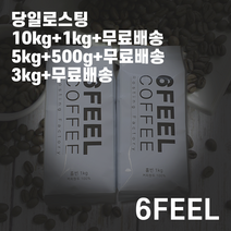 (당일로스팅)식스필 베트남 로부스타 로스팅 원두 커피 500g, 더치