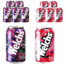 웰치스 탄산음료 포도 355ml x 6p + 딸기 355ml x 6p, 24개