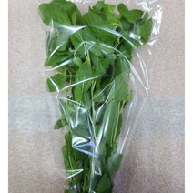 아시아바질 가파오 바질 신선한채소 포장1Pack WORLDFOOD