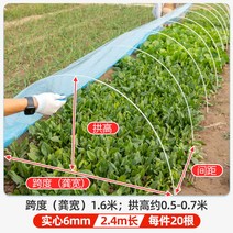 미니비닐하우스 옥상 간이 원예 정원 온실 발코니 겨울 식물 가정용 마당 조립식 소형 창고, 6mm 두께 2.4m 길이 아치형 천장 받침대 20개