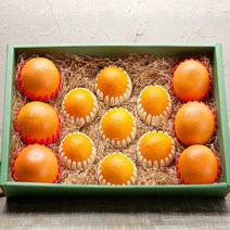 햇살아름 자몽 오렌지 혼합세트 4.1kg 13과, 단품