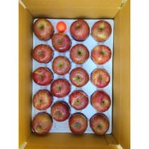 청정 고냉지 정선임계 사과 부사 가정용 10Kg (38과)