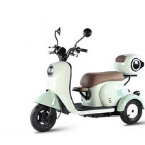 세발전기자전거 전동오토바이 어른신 노인 삼륜 안전, 상세 페이지 참고, (48V) 600W 모터 + 12A 납산전지