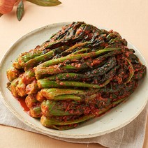 여수노반장 돌산갓김치 1.5kg 국내산, 백김치 1kg, 1000g