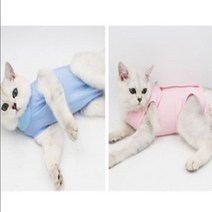 켈리몰 강아지 고양이 스판 중성화 수술복 옷 그루밍방지 환묘옷 올인원애견의류 0-8324ea, L_스카이바이올렛
