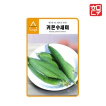 수세미 씨앗 10립 채소 씨앗 쌈 종자 다농, 1개, 10개