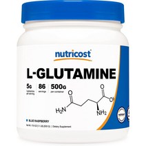 뉴트리코스트 L 글루타민 파우더 블루라즈베리, 500g, 1개