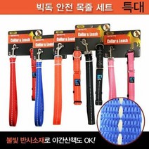 빅독 안전 목줄세트 특대 25mm (컬러랜덤), 단품
