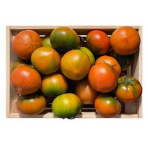 산지직송 [팜쿡] 부산 대저토마토 M사이즈(130-180g) 2.5kg, 단품없음