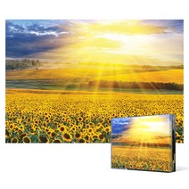 2000피스 직소퍼즐 / 해바라기 들판의 일몰 (미니), 단품