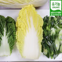 진도 유기농 농산물 (봄동 1.5kg 쌈배추 2.5kg 대파 2kg) 산지직송 유기농봄동 유기농쌈배추 유기농대파 친환경재배 무농약, 진도 봄동 1.5kg