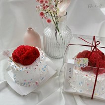 [헤이플레이키트] 카네이션 케이크 만들기 키트 / 어버이날선물 스승의날선물 단체주문 가능