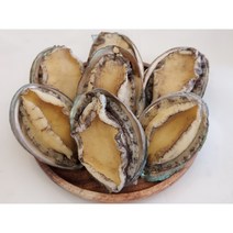 순살전복7-81KG 자숙전복 손질전복 바로먹는 야들야들꼬마전복