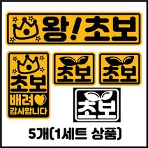 더꾸밈 초보운전 반사 자석 스티커 5개 1세트 (am6), AM6-2