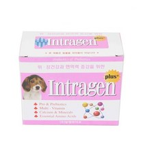 알켐 인트라젠 플러스30P 분말애완동물장 면역영양제