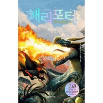 해리 포터와 불의 잔 4(해리포터 20주년 개정판)