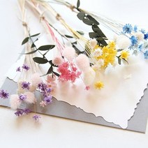 THEVOM 스타플라워&허니테일미니다발, 핑크