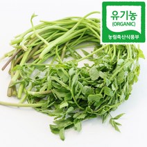 유기농 세척 미나리 무농약 생 돌미나리, 1개, 1kg