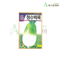 청수백옥무 30g 23년포장 김장무씨앗 가을무씨 아삭이무씨앗 도자기무, 1개