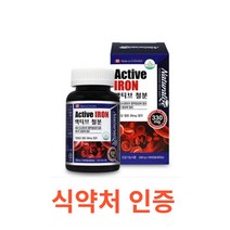네추럴라이즈 액티브 철분 100캡슐 철분 영양제 철분 보충제 헤모그로빈 비헴철 임산부 철분 청소년 가임기 여성 철분제 캐나다 대용량 영양제 온가족 에너지생성 필수영양소 철분제, 1통, 100캡슐X6개