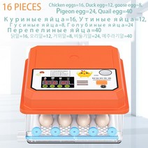 병아리부화기 계란 닭 자동 부화기 새 메추라기 병아리 가금류 터너 농장 부화, 16 PCS EGG incubator+US Plug