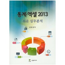 통계 엑셀2013 쉬운 실무분석, 진샘미디어