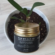 동안피부를 위한 제니벨 블랙 오소리크림(70ml)/더마 하이드로셀 라이스 클렌징 폼(150ml) 증정, 70g, 1병