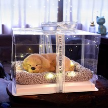 생일 선물 소녀는 여자 친구 및 자매 실용적인 창조적 인 모방 고양이 선물 상자를 보냅니다., 대형래브라도선물상자27*27*18Cm, 대형 래브라도 선물 상자 27*27*18cm