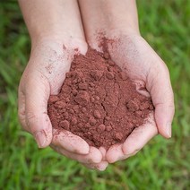 봉래 국산 아로니아분말 200g/아로니아가루/아로니아파우더/건강차 식품 > 건강식품 전통건강식품 기타전통건강식품/한방재료, 200g, 1″ class=”wr-img”></a></div></p></div></p></div></p></div><div class=