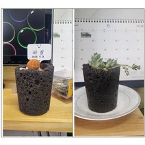 원예 교육 화분 만들기 키트 교육 DIY 창의 교구 방과후 활동 체험학습, 검정(대표), 바질