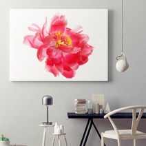 유홍아트 스윗 모란 No1 생동감 넘치는 모란 꽃 액자 6호 (5823839), 직사각형(41x32cm)