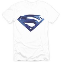(플렉스) 티셔츠 반팔티 긴팔티 맨투맨 SUPERMAN6J-20