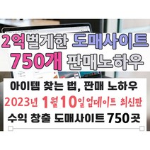 순수익 2억 벌게한 도매사이트 750개와 판매 노하우 (빠른 발송 + PDF 전자책), 2억벌게한 도매사이트 750개와 판매 노하우